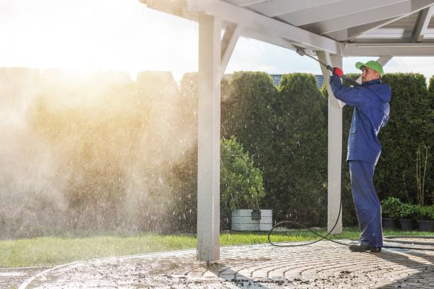 Best Paint Preparation  in Montgomery, IL